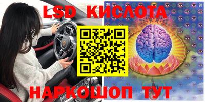 гашик Малоярославец