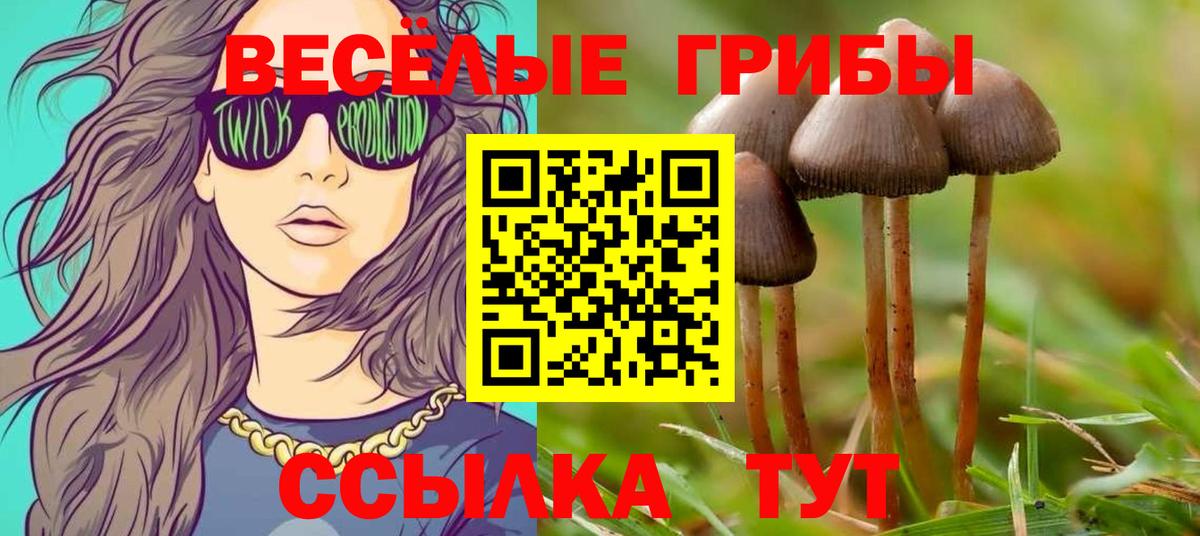 Красногорск  Галлюциногенные грибы GOLDEN TEACHER  Галлюциногенные грибы мицелий  Вход с VPN 